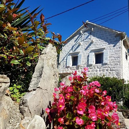 Old Stone Villa Lalosevic Cattaro Esterno foto