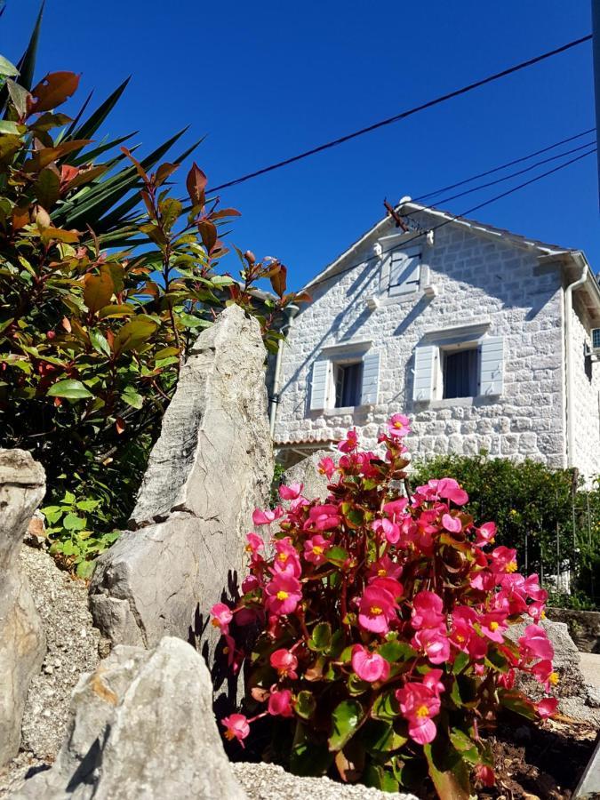 Old Stone Villa Lalosevic Cattaro Esterno foto